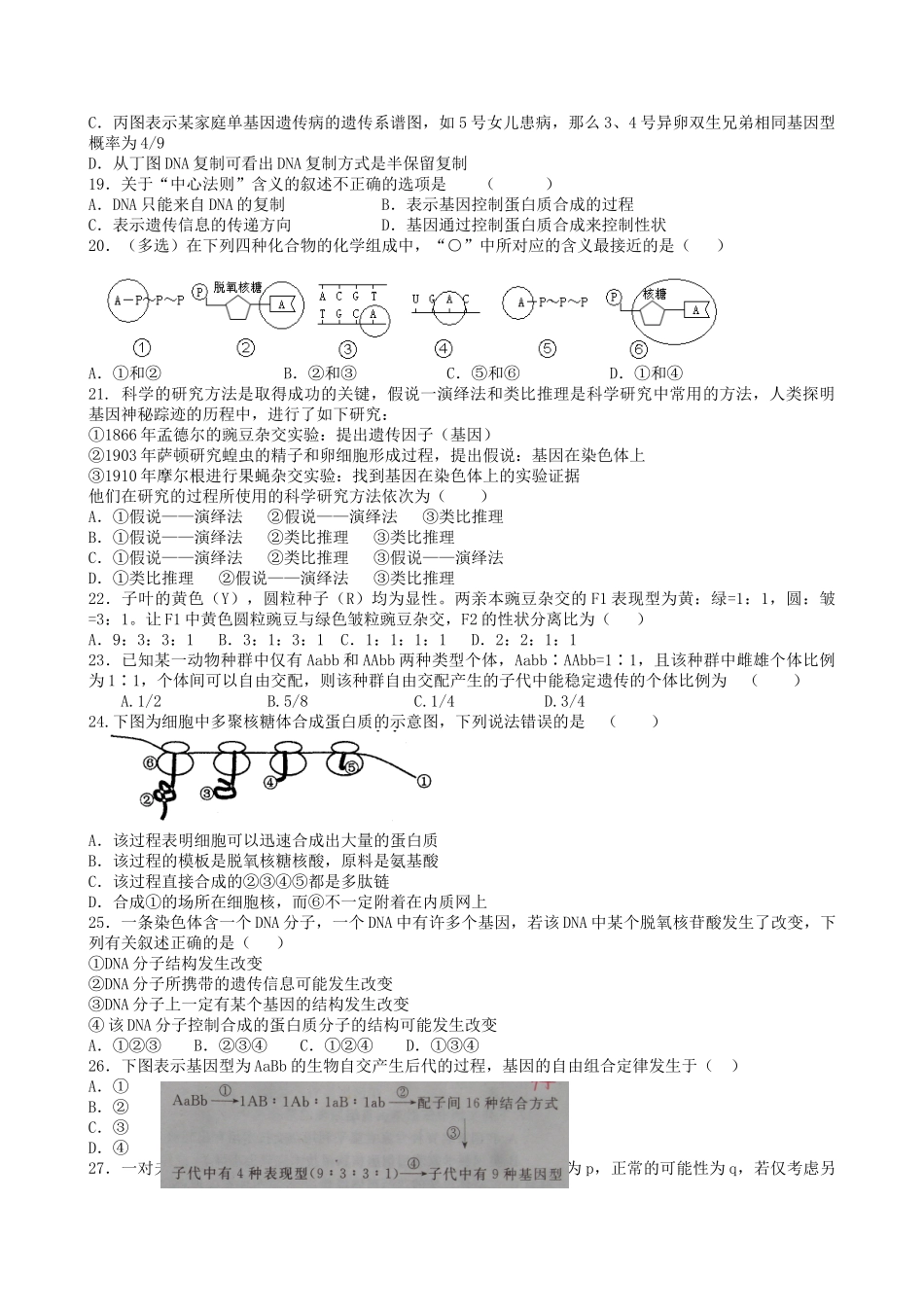 高中生物一轮复习综合素质评估(7)——必修二1—4章_第3页