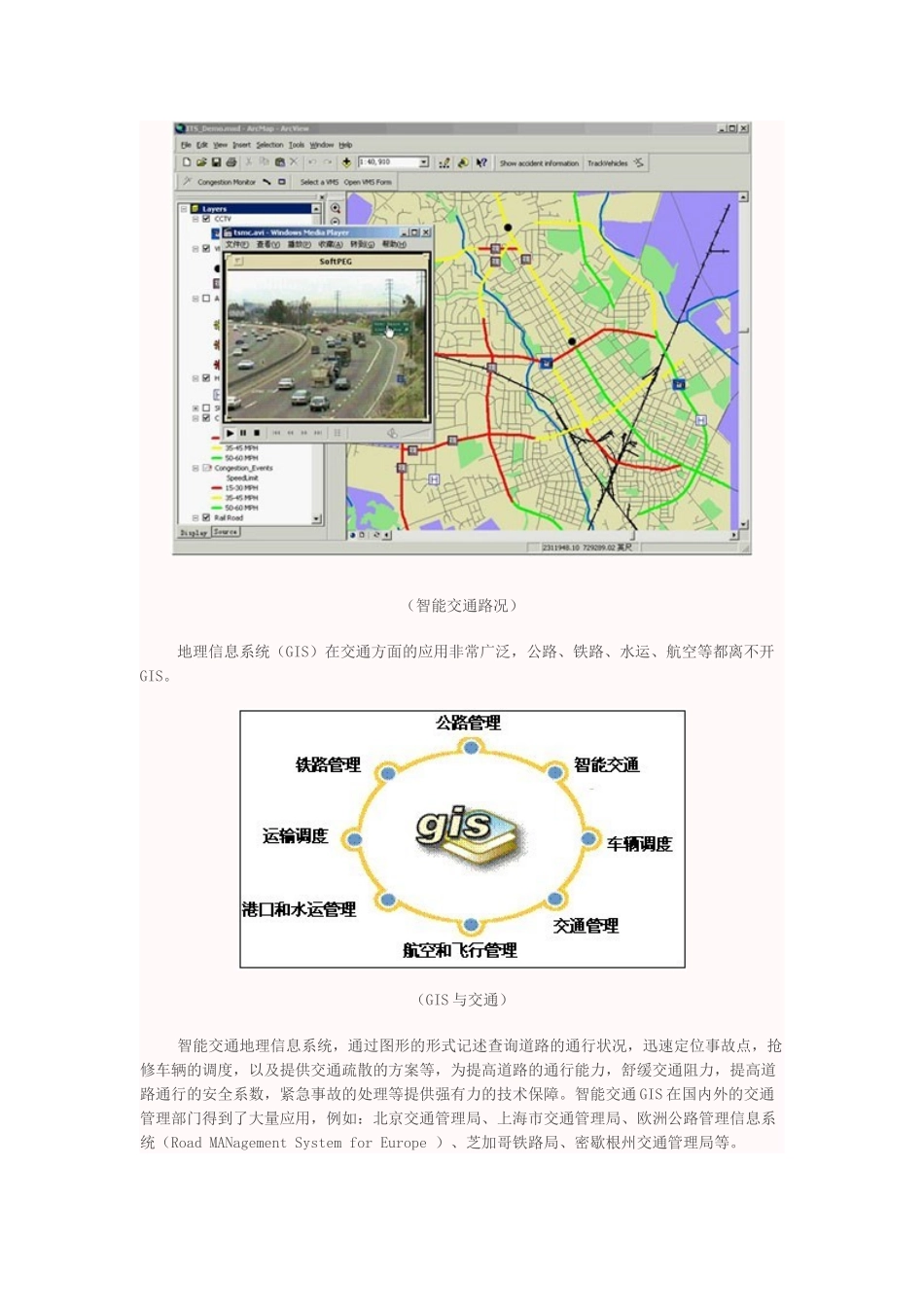 ArcGIS智能交通地理信息系统解决方案_第3页