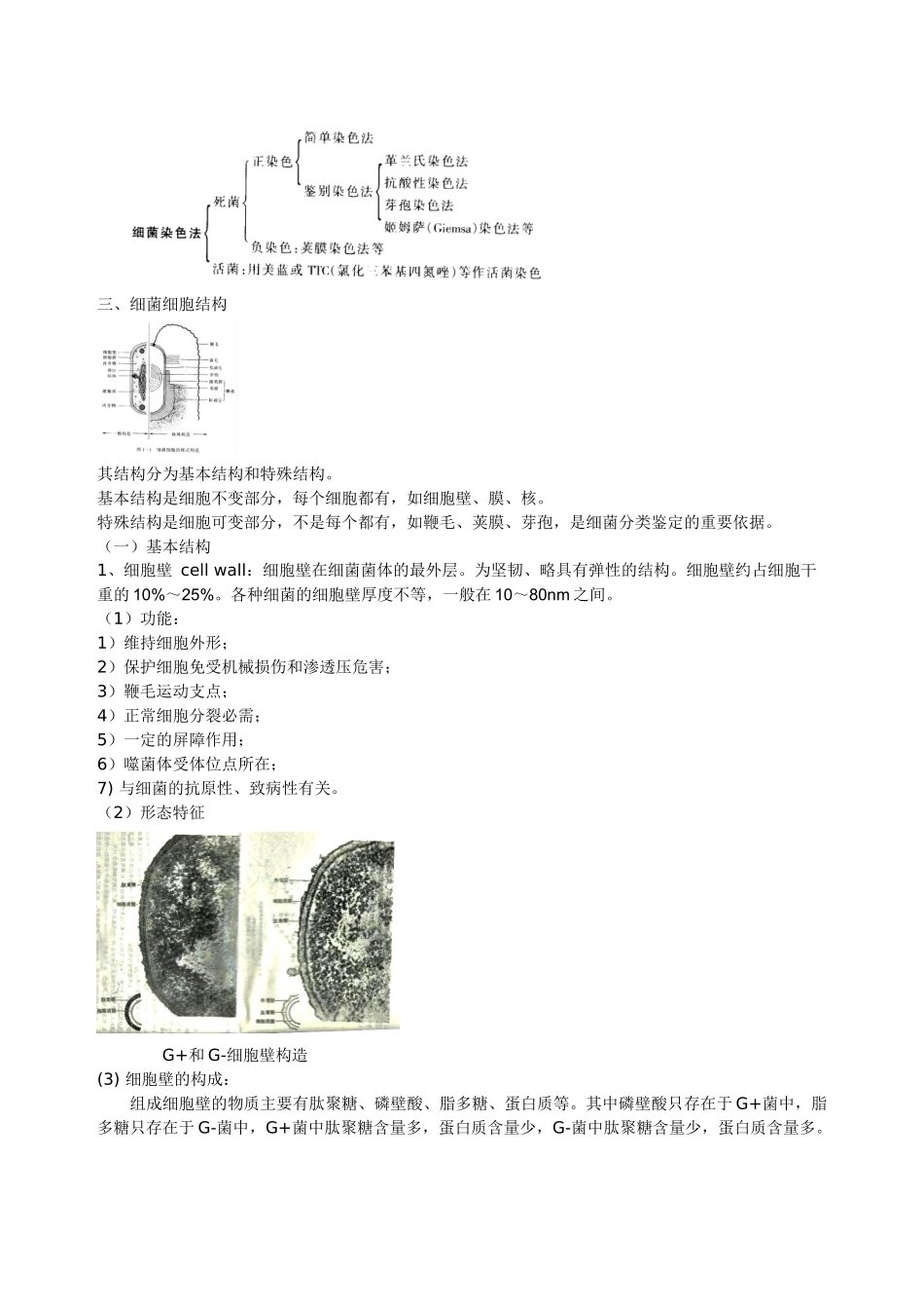 一章：微生物类群与形态结构_第3页