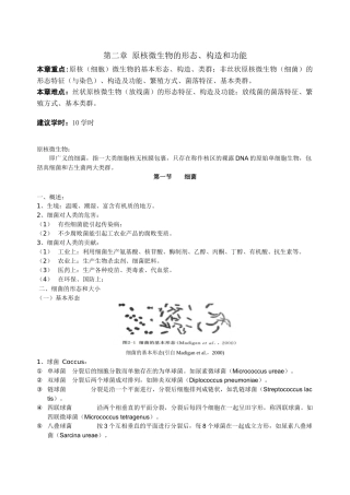一章：微生物类群与形态结构