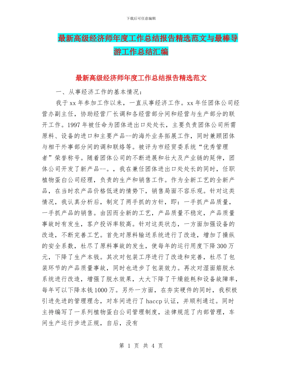 最新高级经济师年度工作总结报告精选范文与最棒导游工作总结汇编_第1页