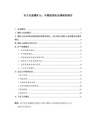锡矿山企业投资机会调研的报告