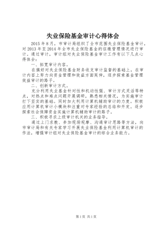 失业保险基金审计心得体会