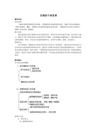 生物的个体发育