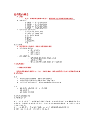 再保险理论与实务