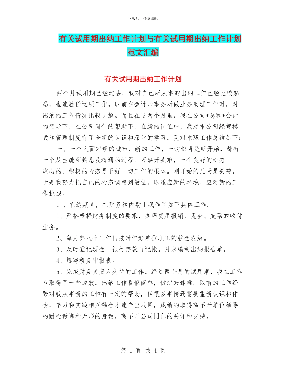 有关试用期出纳工作计划与有关试用期出纳工作计划范文汇编_第1页