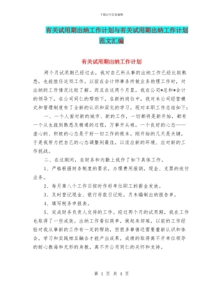 有关试用期出纳工作计划与有关试用期出纳工作计划范文汇编