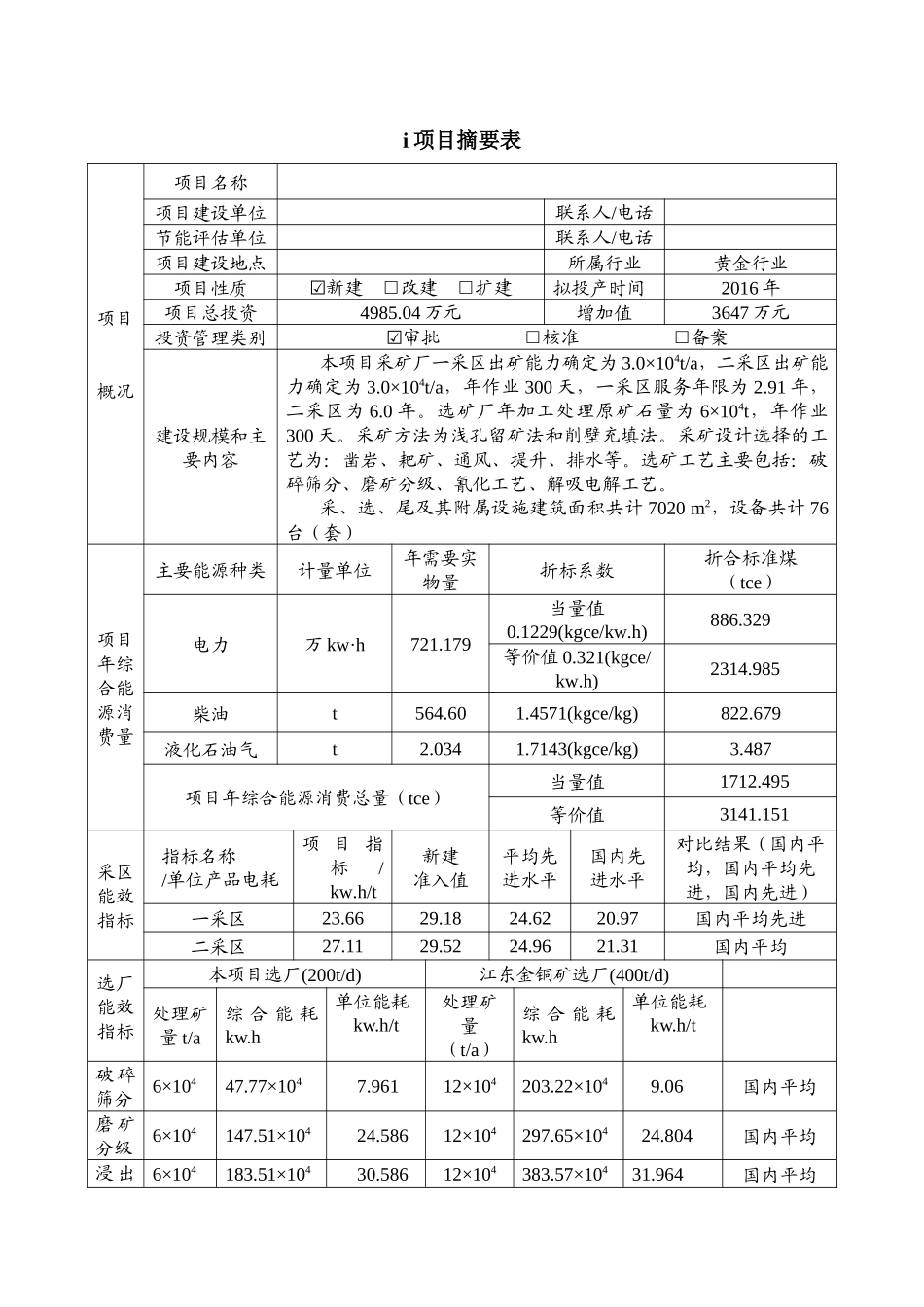 某黄金矿山能能评报告(审查通过)_第1页