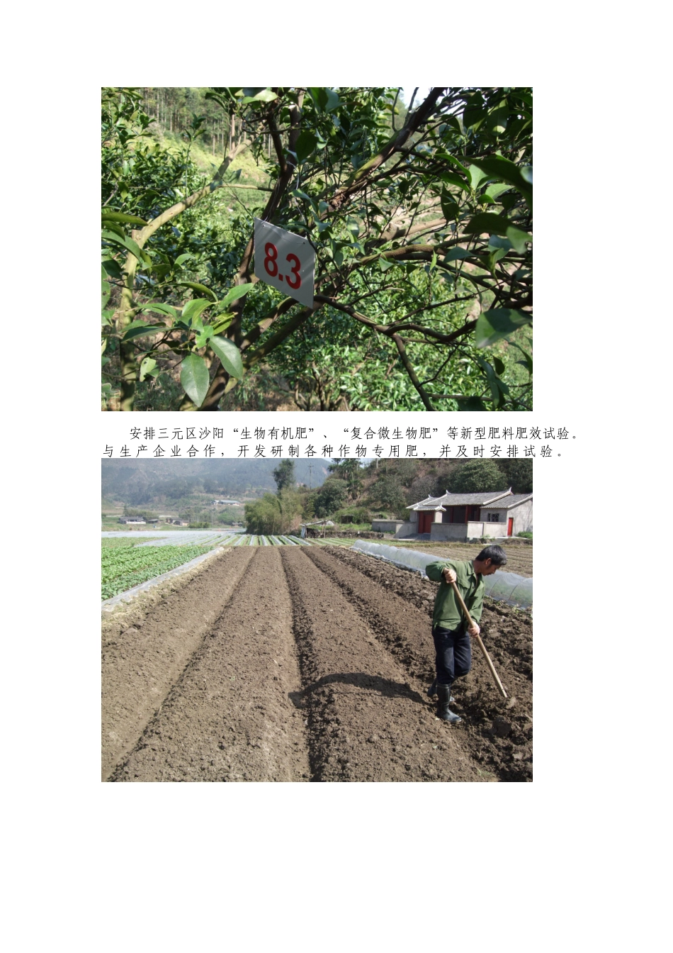 积极推广农业五新技术(1)_第2页