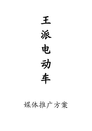 王牌电动车投放方案