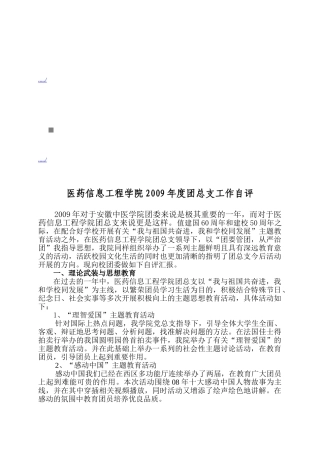 医药信息工程学院年度团总支工作自评