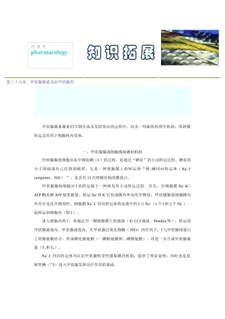 第三十六章甲状腺激素及抗甲状腺药