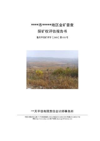 金矿普查探矿权评估报告