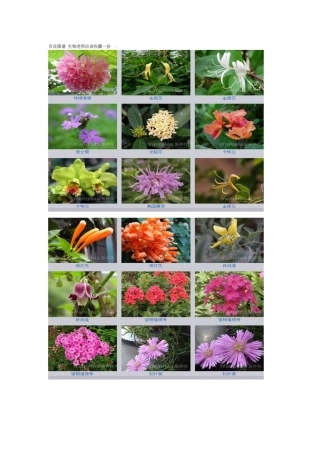 百花图谱 生物老师应该收藏一份