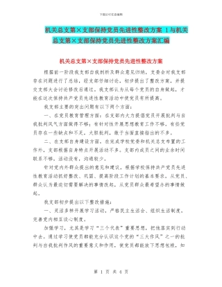 机关总支第×支部保持党员先进性整改方案