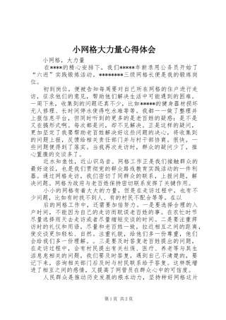 小网格大力量心得体会