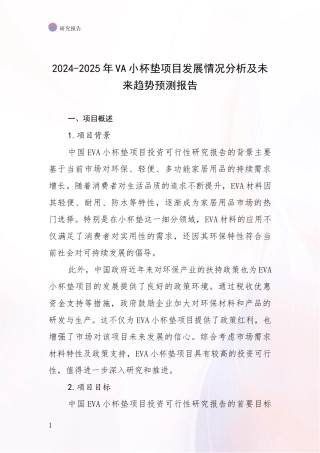 2024-2025年VA小杯垫项目发展情况分析及未来趋势预测报告
