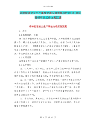 杏林街道安全生产事故灾难应急预案与村经济责任审计工作方案汇编