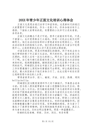 20XX年青少年正面文化培训心得体会