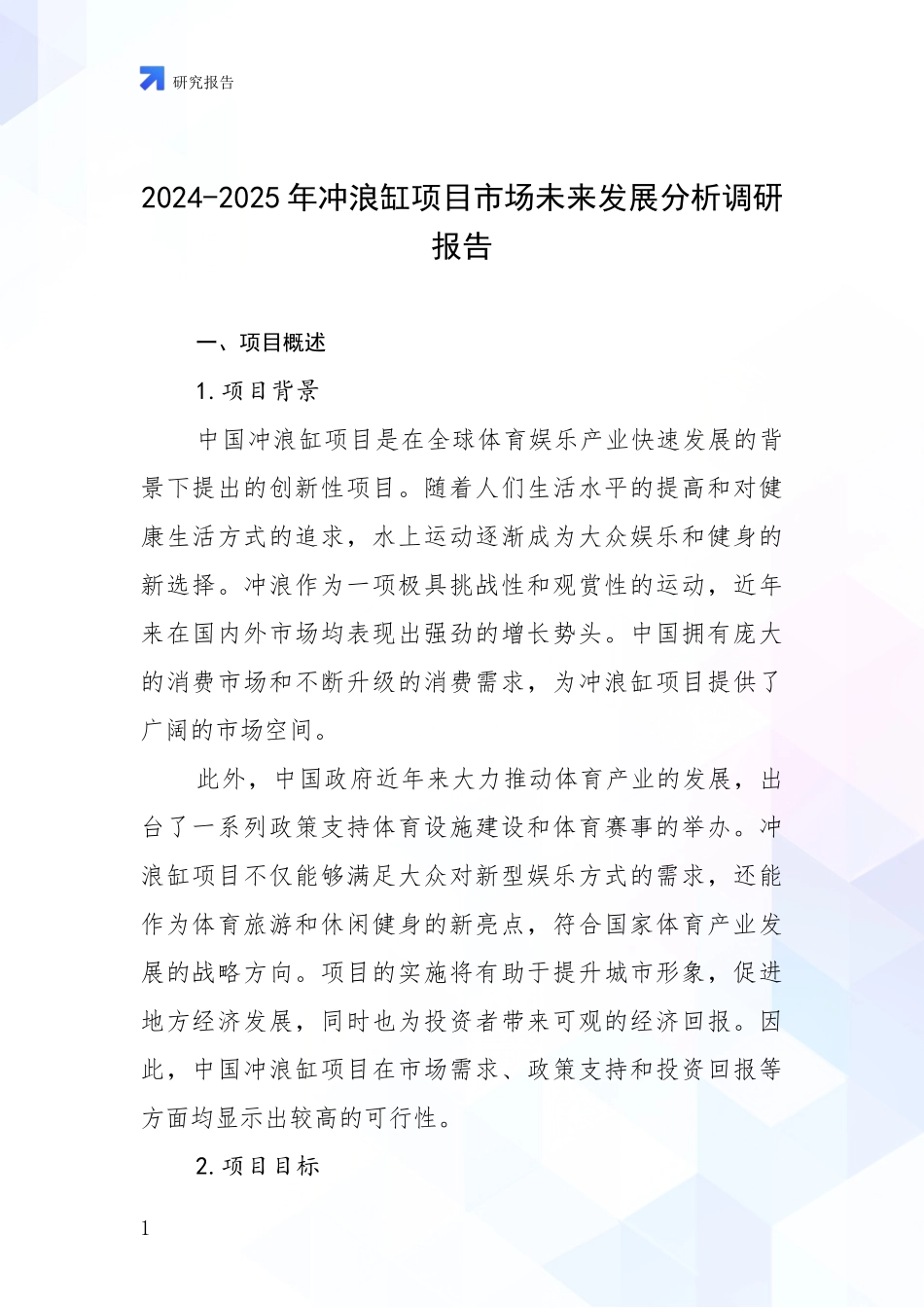 2024-2025年冲浪缸项目市场未来发展分析调研报告_第1页