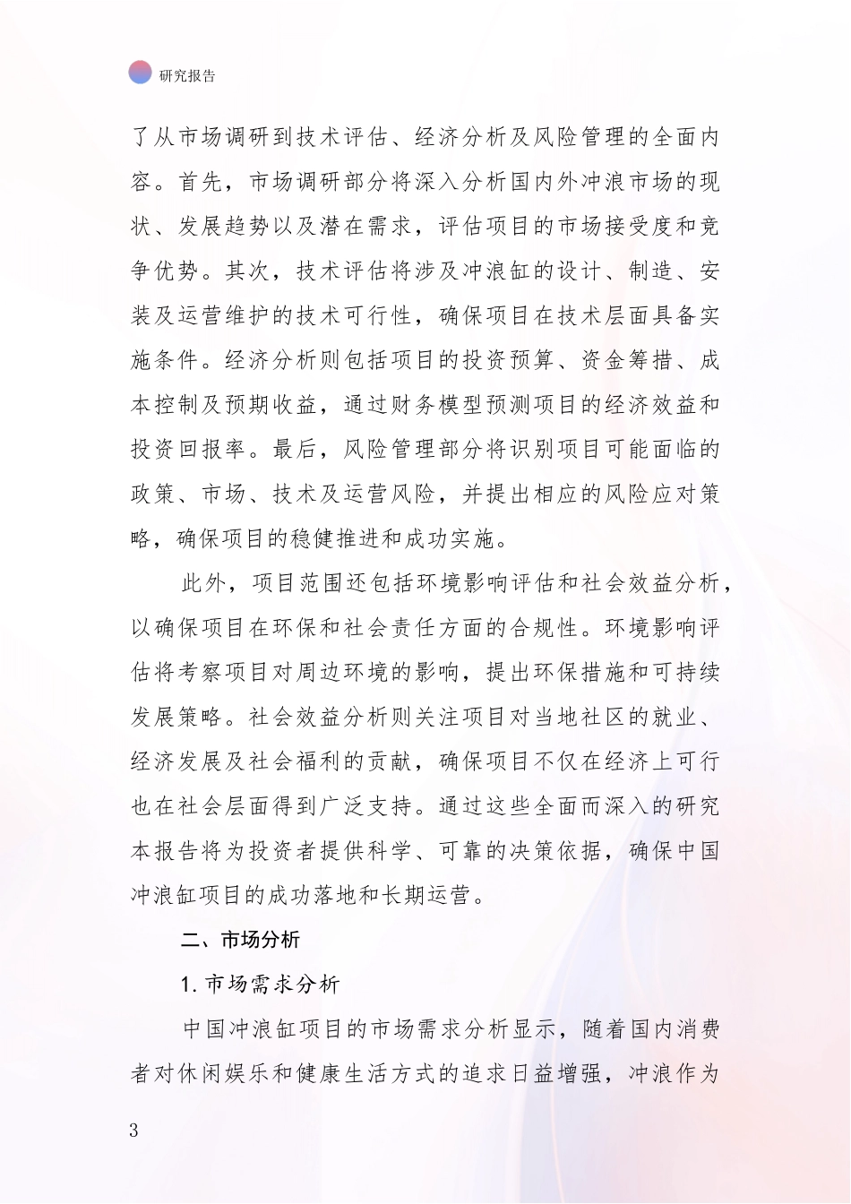 2024-2025年冲浪缸项目行业未来发展分析投资可行性研究报告_第3页