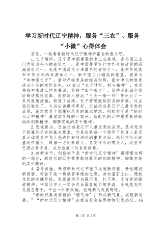学习新时代辽宁精神，服务“三农”、服务“小微”心得体会