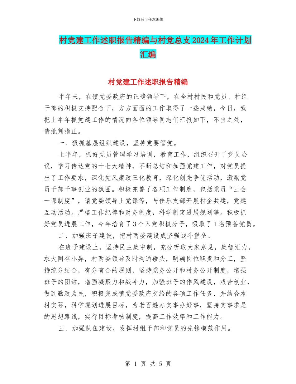 村党建工作述职报告精编与村党总支2024年工作计划汇编_第1页