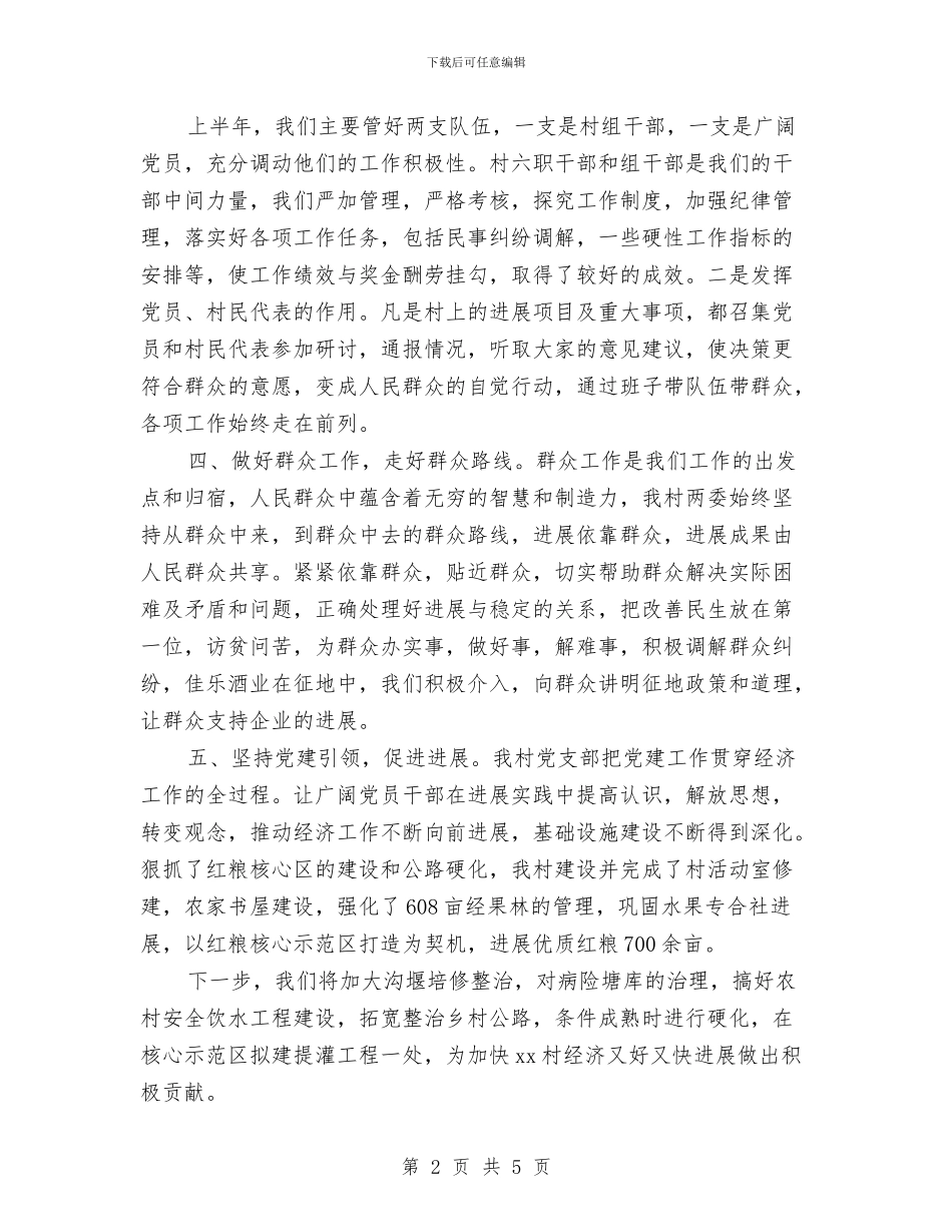 村党建工作述职报告精编与村党总支2024年工作计划汇编_第2页