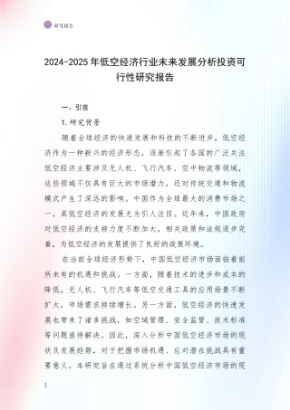 2024-2025年低空经济行业未来发展分析投资可行性研究报告