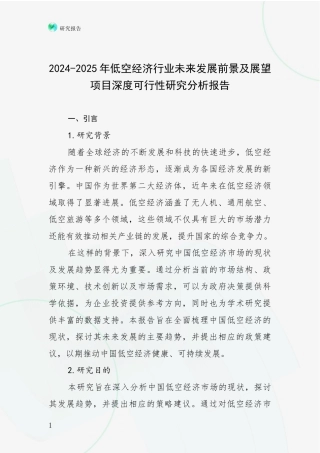 2024-2025年低空经济行业未来发展前景及展望项目深度可行性研究分析报告