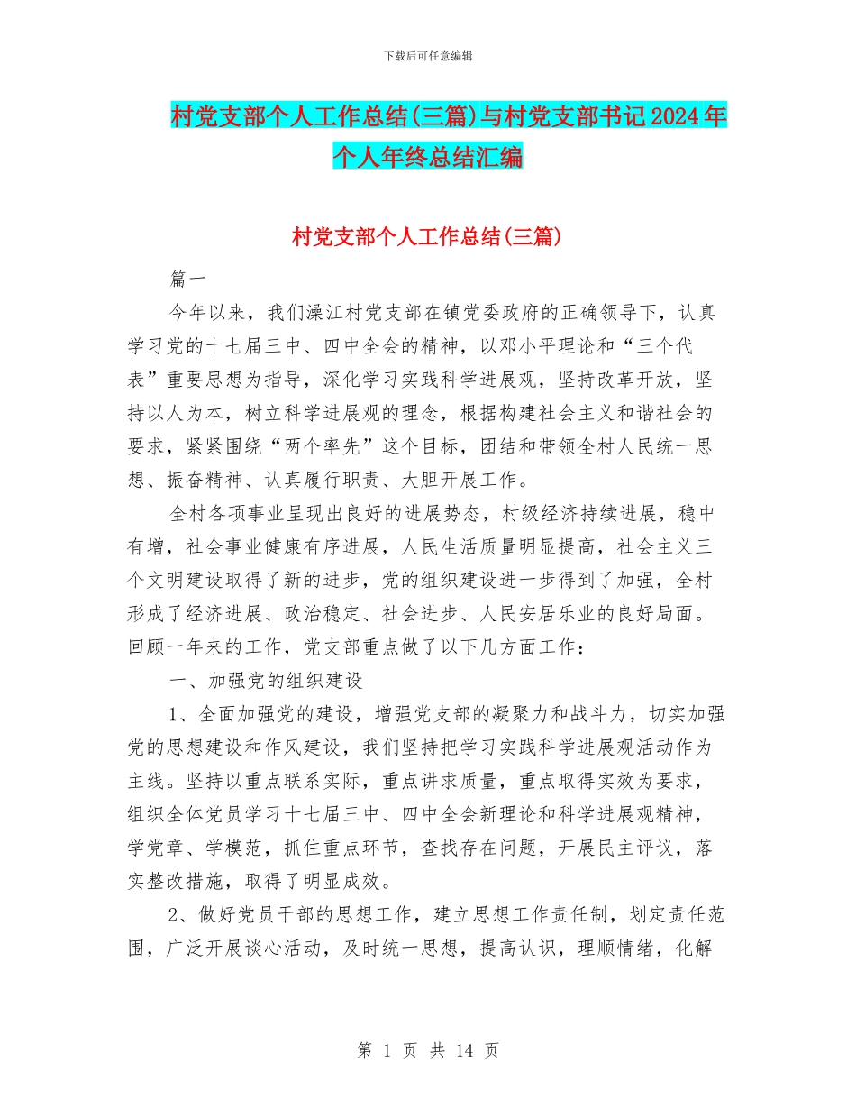 村党支部个人工作总结与村党支部书记2024年个人年终总结汇编_第1页