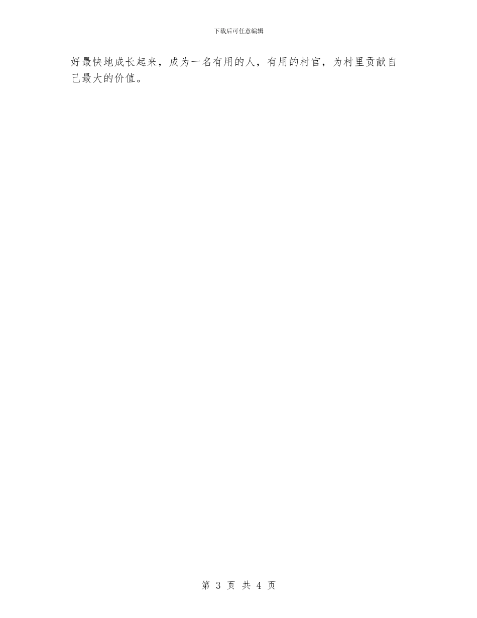 村委主任助理工作总结_第3页