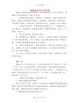 村委会主任工作计划