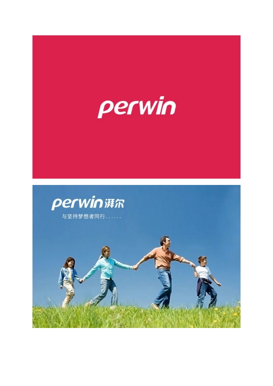 深圳湃尔生物医疗公司品牌VI设计_第2页