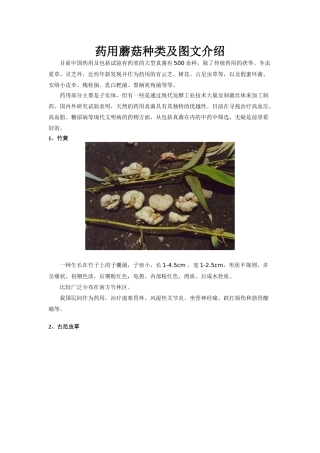 药用蘑菇种类及图文介绍