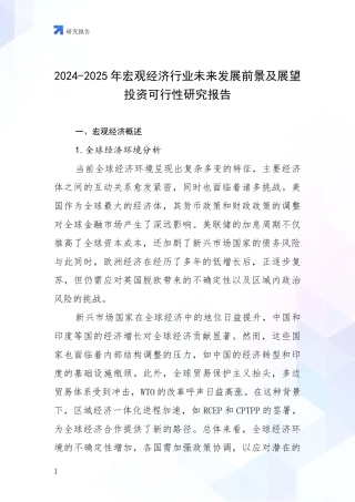 2024-2025年宏观经济行业未来发展前景及展望投资可行性研究报告