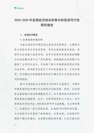 2024-2025年宏观经济综合形势分析投资可行性研究报告