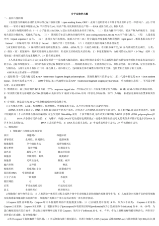 分子生物学大题
