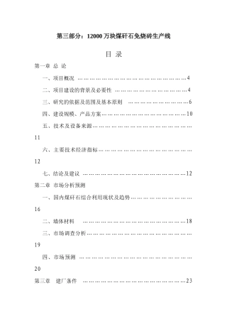 化工业公司煤矸石粉煤灰砖项目可行性报告
