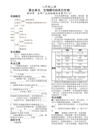 生物圈中的其它生物复习资料