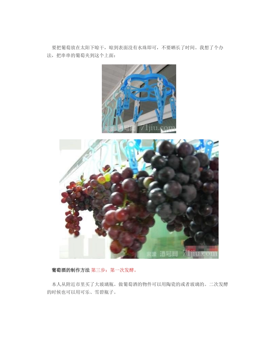 葡萄酒的制作方法图文教程适合家庭自制葡萄酒_第2页
