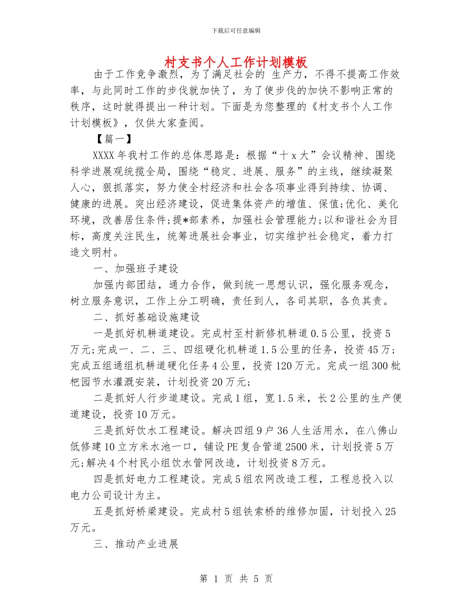 村支书个人工作计划模板_第1页