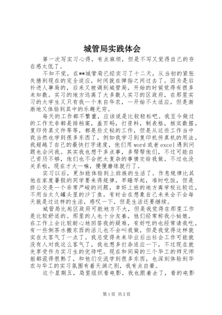 城管局实践体会