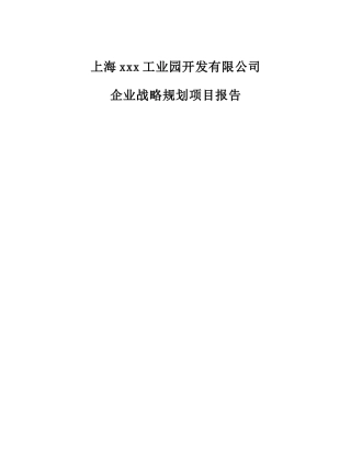 上海某工业园开发有限公司企业战略规划项目报告