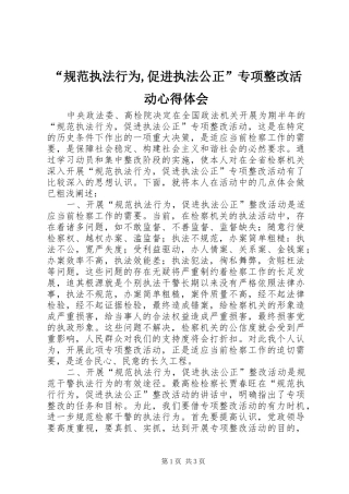 “规范执法行为,促进执法公正”专项整改活动心得体会