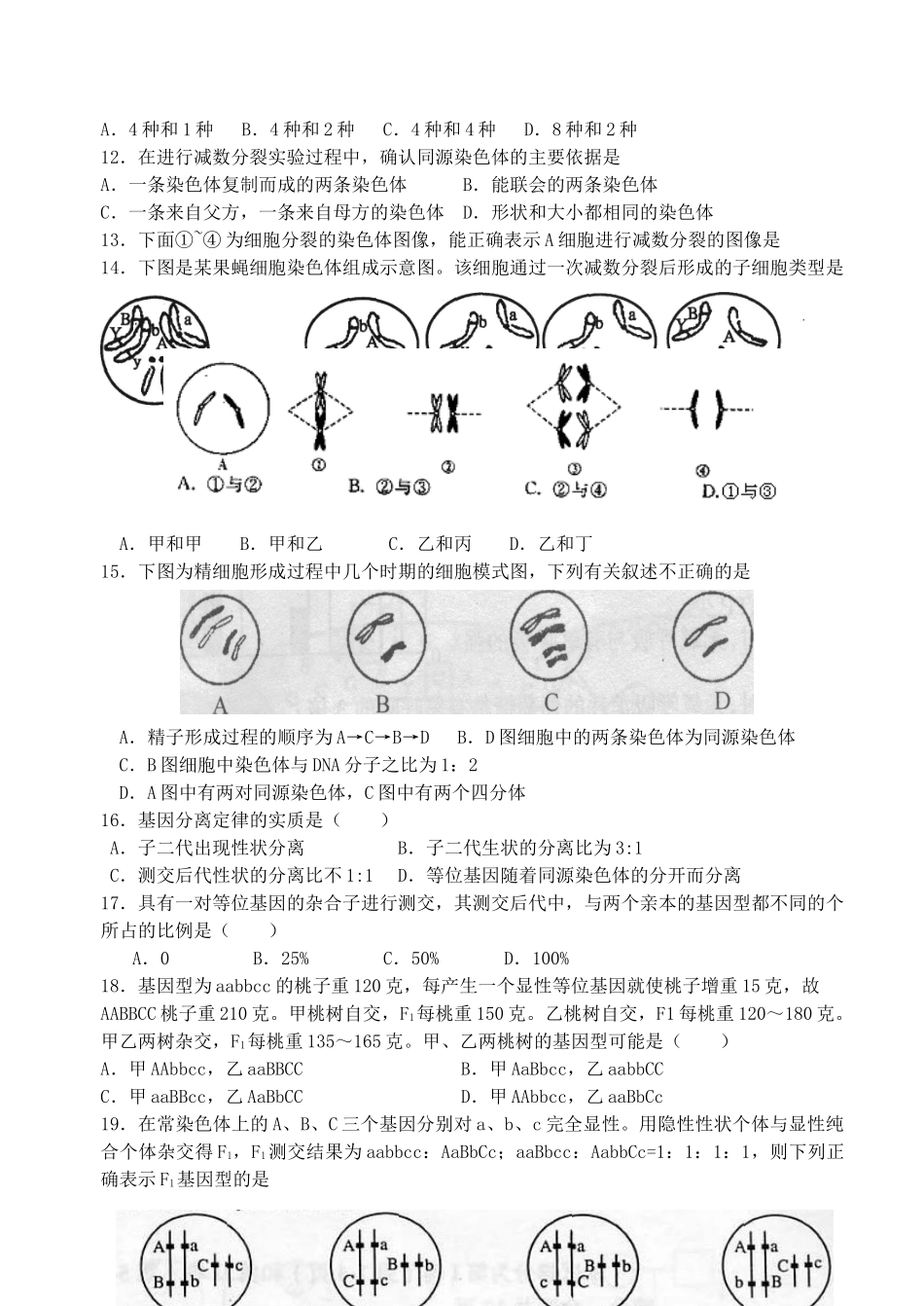 高中生物必修2第1、2章单元测试题_第2页