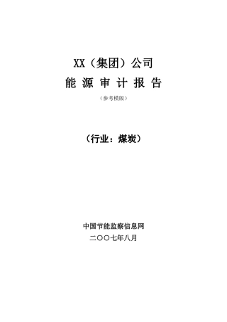 XX(集团)公司(煤炭)能源审计报告