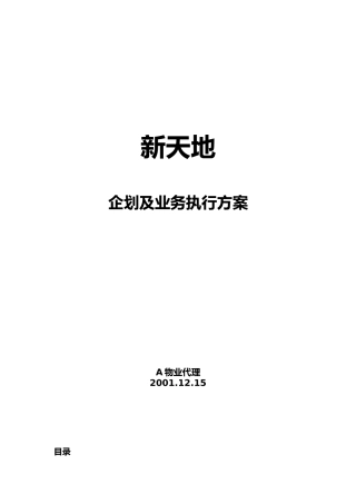 某公司企划及业务执行方案