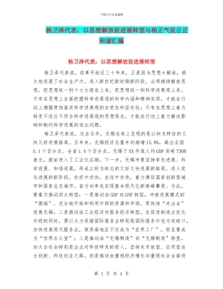 杨卫泽代表：以思想解放促发展转型与杨正气促公正和谐汇编
