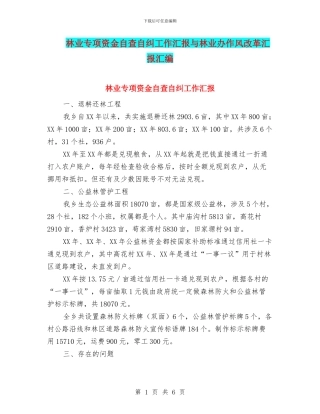 林业专项资金自查自纠工作汇报与林业办作风改革汇报汇编